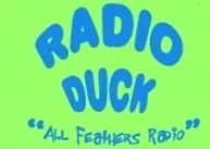 89847_Radio Duck.png